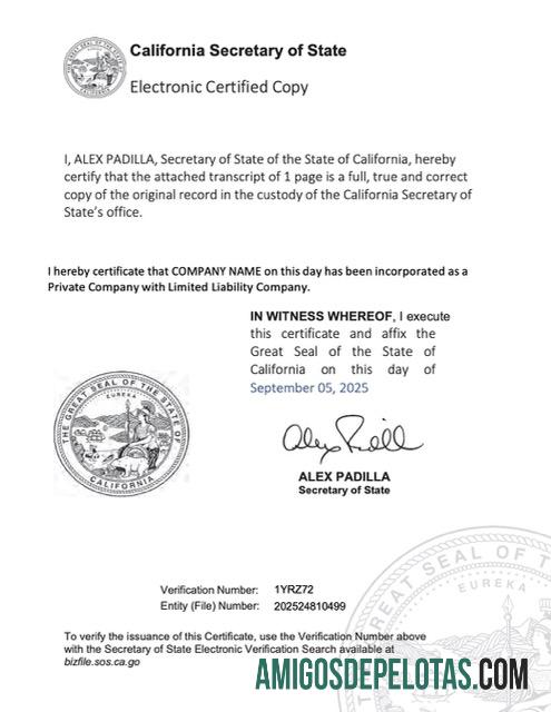 Certificado de registro eletrônico realista dos EUA Califórnia modelo Word e PDF